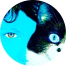Animal Communication